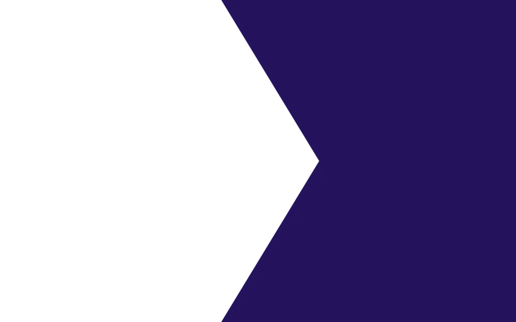 Flexspecialisten blauwe inline kader